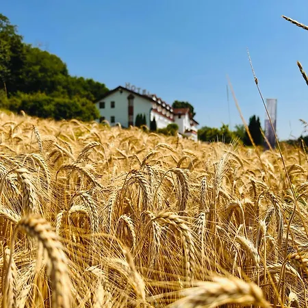 Ξενοδοχείο Familien Krainz 3*