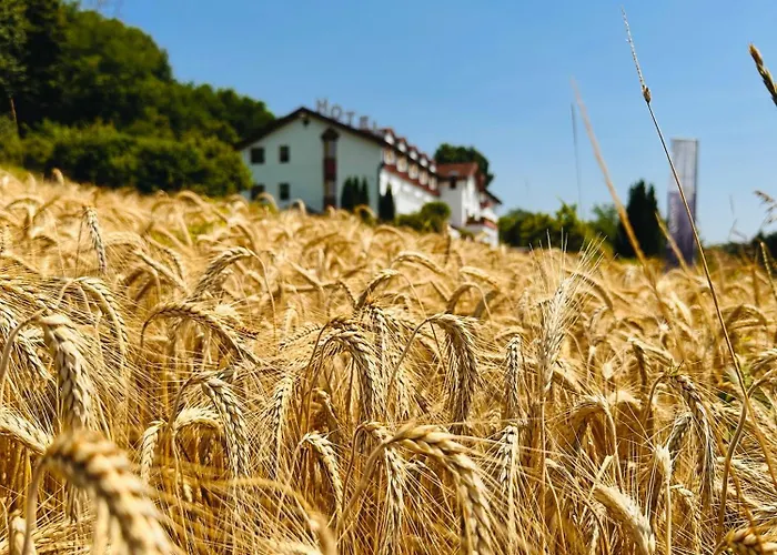 호텔 Familien Krainz 3*