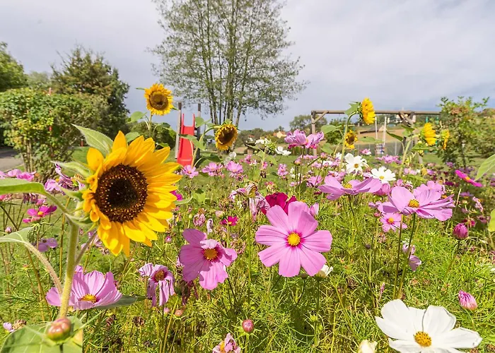 호텔 Familien Krainz